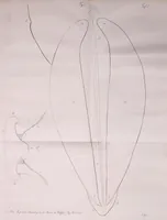 Picture 2 of 9 from Abhandlungen der Königlichen Akademie der Wissenschaften in Berlin (1822), leaf 171
