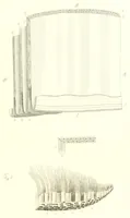 Picture 3 of 9 from Abhandlungen der Königlichen Akademie der Wissenschaften in Berlin (1822), leaf 173