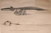 An illustration from Abhandlungen der Königlichen Akademie der Wissenschaften in Berlin (1822)