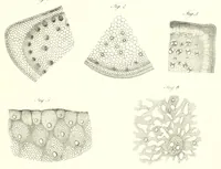 An illustration from Abhandlungen der Königlichen Akademie der Wissenschaften in Berlin (1822)