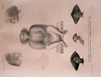 Picture 4 of 8 from Abhandlungen der Königlichen Akademie der Wissenschaften in Berlin (1822), leaf 459