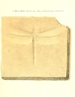 Picture 1 of 3 from Abhandlungen der Königlichen Akademie der Wissenschaften in Berlin (1822), leaf 177