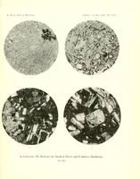 An illustration from Abhandlungen der Königlich Preussischen Akademie der Wissenschaften (1908)