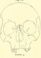 Picture 5 of 6 from Abhandlungen der Königlich Preussischen Akademie der Wissenschaften (1908), leaf 377