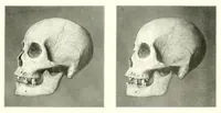 An illustration from Abhandlungen der Königlich Preussischen Akademie der Wissenschaften (1908)