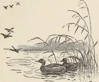 An illustration from Aboard the Mavis : it is told in this book how five boys and five girls cruise in the schooner "Mavis" about the east end of Long Island, and how, in (1880)