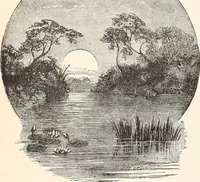Picture 61 of 76 from Aboard the Mavis : it is told in this book how five boys and five girls cruise in the schooner "Mavis" about the east end of Long Island, and how, in (1880), leaf 181