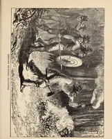 Picture 74 of 76 from Aboard the Mavis : it is told in this book how five boys and five girls cruise in the schooner "Mavis" about the east end of Long Island, and how, in (1880), leaf 228