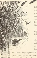 Picture 17 of 76 from Aboard the Mavis : it is told in this book how five boys and five girls cruise in the schooner "Mavis" about the east end of Long Island, and how, in (1880), leaf 49