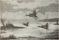 Picture 21 of 76 from Aboard the Mavis : it is told in this book how five boys and five girls cruise in the schooner "Mavis" about the east end of Long Island, and how, in (1880), leaf 57