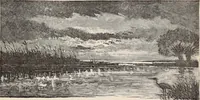 Picture 23 of 76 from Aboard the Mavis : it is told in this book how five boys and five girls cruise in the schooner "Mavis" about the east end of Long Island, and how, in (1880), leaf 64