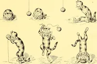 An illustration from [A book of cheerful cats and other animated animals (1892)