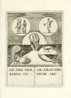 Picture 7 of 28 from Abrahami Gorlaei Antverpiani Dactyliotheca, seu, Annulorum sigillarium quorum apud priscos tam Graecos quam Romanos usus e ferro, aere, argento & auro promptvarivm : accesserunt variarum gemmarvm quibus antiquitas in sigillando uti solita scalptvrae (1601), leaf 117