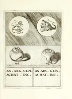 Picture 4 of 28 from Abrahami Gorlaei Antverpiani Dactyliotheca, seu, Annulorum sigillarium quorum apud priscos tam Graecos quam Romanos usus e ferro, aere, argento & auro promptvarivm : accesserunt variarum gemmarvm quibus antiquitas in sigillando uti solita scalptvrae (1601), leaf 93