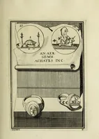 An illustration from Abrahami Gorlaei antverpiani Dactyliothecae, seu, Annulorum sigillarium quorum apud priscos tam Graecos quam Romanos usus, ex ferro, aere, argento & auro promptuarii pars prima[-secunda] : collectis aliunde & ineditis & editis annulorum figuris auctior (1695)
