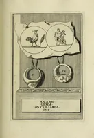 Picture 35 of 116 from Abrahami Gorlaei antverpiani Dactyliothecae, seu, Annulorum sigillarium quorum apud priscos tam Graecos quam Romanos usus, ex ferro, aere, argento & auro promptuarii pars prima[-secunda] : collectis aliunde & ineditis & editis annulorum figuris auctior (1695), leaf 138
