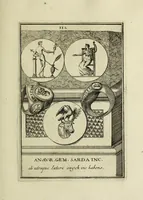 Picture 66 of 116 from Abrahami Gorlaei antverpiani Dactyliothecae, seu, Annulorum sigillarium quorum apud priscos tam Graecos quam Romanos usus, ex ferro, aere, argento & auro promptuarii pars prima[-secunda] : collectis aliunde & ineditis & editis annulorum figuris auctior (1695), leaf 204
