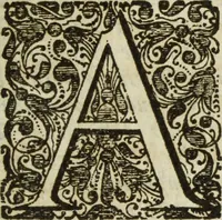 An illustration from Abrahami Gorlaei antverpiani Dactyliothecae, seu, Annulorum sigillarium quorum apud priscos tam Graecos quam Romanos usus, ex ferro, aere, argento & auro promptuarii pars prima[-secunda] : collectis aliunde & ineditis & editis annulorum figuris auctior (1695)