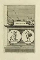 Picture 103 of 116 from Abrahami Gorlaei antverpiani Dactyliothecae, seu, Annulorum sigillarium quorum apud priscos tam Graecos quam Romanos usus, ex ferro, aere, argento & auro promptuarii pars prima[-secunda] : collectis aliunde & ineditis & editis annulorum figuris auctior (1695), leaf 278