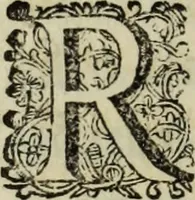 Picture 8 of 116 from Abrahami Gorlaei antverpiani Dactyliothecae, seu, Annulorum sigillarium quorum apud priscos tam Graecos quam Romanos usus, ex ferro, aere, argento & auro promptuarii pars prima[-secunda] : collectis aliunde & ineditis & editis annulorum figuris auctior (1695), leaf 31