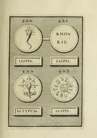 An illustration from Abrahami Gorlaei antverpiani Dactyliothecae, seu, Annulorum sigillarium quorum apud priscos tam Graecos quam Romanos usus, ex ferro, aere, argento & auro promptuarii pars prima[-secunda] : collectis aliunde & ineditis & editis annulorum figuris auctior (1695)