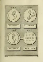 Picture 107 of 170 from Abrahami Gorlaei antverpiani Dactyliothecae, seu, Annulorum sigillarium quorum apud priscos tam Graecos quam Romanos usus, ex ferro, aere, argento & auro promptuarii pars prima[-secunda] : collectis aliunde & ineditis & editis annulorum figuris auctior (1695), leaf 284