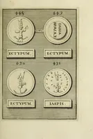 Picture 111 of 170 from Abrahami Gorlaei antverpiani Dactyliothecae, seu, Annulorum sigillarium quorum apud priscos tam Graecos quam Romanos usus, ex ferro, aere, argento & auro promptuarii pars prima[-secunda] : collectis aliunde & ineditis & editis annulorum figuris auctior (1695), leaf 296