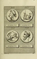 Picture 125 of 170 from Abrahami Gorlaei antverpiani Dactyliothecae, seu, Annulorum sigillarium quorum apud priscos tam Graecos quam Romanos usus, ex ferro, aere, argento & auro promptuarii pars prima[-secunda] : collectis aliunde & ineditis & editis annulorum figuris auctior (1695), leaf 324
