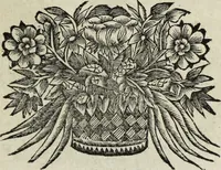 Picture 58 of 82 from Abrahami Ortelii, cosmographi et geographi regii, Deorum dearumque capita, ex antiquis numismatibus collecta (1683), leaf 140