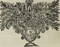 Picture 74 of 82 from Abrahami Ortelii, cosmographi et geographi regii, Deorum dearumque capita, ex antiquis numismatibus collecta (1683), leaf 175