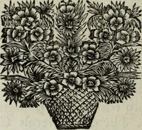 Picture 79 of 82 from Abrahami Ortelii, cosmographi et geographi regii, Deorum dearumque capita, ex antiquis numismatibus collecta (1683), leaf 183