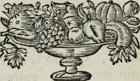 Picture 82 of 82 from Abrahami Ortelii, cosmographi et geographi regii, Deorum dearumque capita, ex antiquis numismatibus collecta (1683), leaf 189