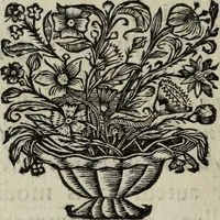 Picture 17 of 82 from Abrahami Ortelii, cosmographi et geographi regii, Deorum dearumque capita, ex antiquis numismatibus collecta (1683), leaf 45