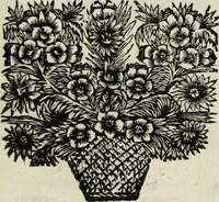 Picture 19 of 82 from Abrahami Ortelii, cosmographi et geographi regii, Deorum dearumque capita, ex antiquis numismatibus collecta (1683), leaf 48