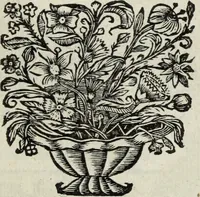 Picture 38 of 82 from Abrahami Ortelii, cosmographi et geographi regii, Deorum dearumque capita, ex antiquis numismatibus collecta (1683), leaf 98