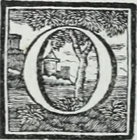 An illustration from Abregé de la vie des fameux peintres : avec leurs portraits gravés en taille-douce, les indications de leurs principaux ouvrages, quelques réflexions sur leurs caractéres, et la maniere de connoître les desseins des grands maîtres (1745)