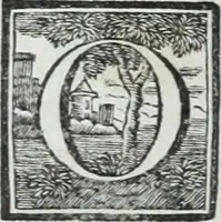 Picture 124 of 236 from Abregé de la vie des fameux peintres : avec leurs portraits gravés en taille-douce, les indications de leurs principaux ouvrages, quelques réflexions sur leurs caractéres, et la maniere de connoître les desseins des grands maîtres (1745), leaf 201