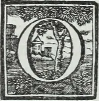 Picture 180 of 236 from Abregé de la vie des fameux peintres : avec leurs portraits gravés en taille-douce, les indications de leurs principaux ouvrages, quelques réflexions sur leurs caractéres, et la maniere de connoître les desseins des grands maîtres (1745), leaf 313