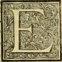 An illustration from Abregé de la vie des fameux peintres : avec leurs portraits gravés en taille-douce, les indications de leurs principaux ouvrages, quelques réflexions sur leurs caractéres, et la maniere de connoître les desseins des grands maîtres (1745)