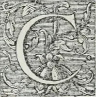 An illustration from Abregé de la vie des fameux peintres : avec leurs portraits gravés en taille-douce, les indications de leurs principaux ouvrages, quelques réflexions sur leurs caractéres, et la maniere de connoître les desseins des grands maîtres (1745)