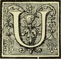 An illustration from Abregé de la vie des fameux peintres : avec leurs portraits gravés en taille-douce, les indications de leurs principaux ouvrages, quelques réflexions sur leurs caractéres, et la maniere de connoître les desseins des grands maîtres (1745)