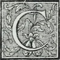 Picture 113 of 151 from Abregé de la vie des fameux peintres : avec leurs portraits gravés en taille-douce, les indications de leurs principaux ouvrages, quelques réflexions sur leurs caractéres, et la maniere de connoître les desseins des grands maîtres (1745), leaf 219