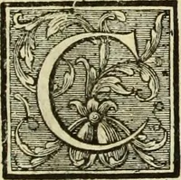 An illustration from Abregé de la vie des fameux peintres : avec leurs portraits gravés en taille-douce, les indications de leurs principaux ouvrages, quelques réflexions sur leurs caractéres, et la maniere de connoître les desseins des grands maîtres (1745)