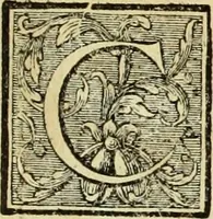 An illustration from Abregé de la vie des fameux peintres : avec leurs portraits gravés en taille-douce, les indications de leurs principaux ouvrages, quelques réflexions sur leurs caractéres, et la maniere de connoître les desseins des grands maîtres (1745)