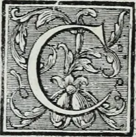 Picture 22 of 151 from Abregé de la vie des fameux peintres : avec leurs portraits gravés en taille-douce, les indications de leurs principaux ouvrages, quelques réflexions sur leurs caractéres, et la maniere de connoître les desseins des grands maîtres (1745), leaf 57