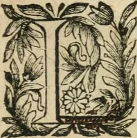An illustration from Abregé des preceptes d'algebre (1637)