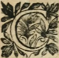 An illustration from Abregé des preceptes d'algebre (1637)