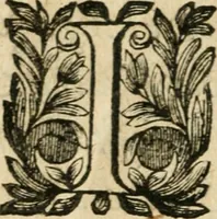 An illustration from Abregé des preceptes d'algebre (1637)