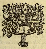An illustration from Abregé du monde ou Discours général de ses parties. : Où il est traitté [sic] de leurs noms, qualités & divisions: des gouvernements, forces & richesses des païs; de la religion & meurs [sic] des inhabitans. (1646)