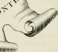 An illustration from Abrégé de la vie des plus fameux peintres, avec leurs portraits gravés en taille-douce, les indications de leurs principaux ouvrages, quelques réflexions sur leurs caractères, et la maniere de connoître les desseins et les tableaux des grands maîtres (1762)